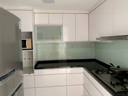Signature Park (D21), Condominium #480849901